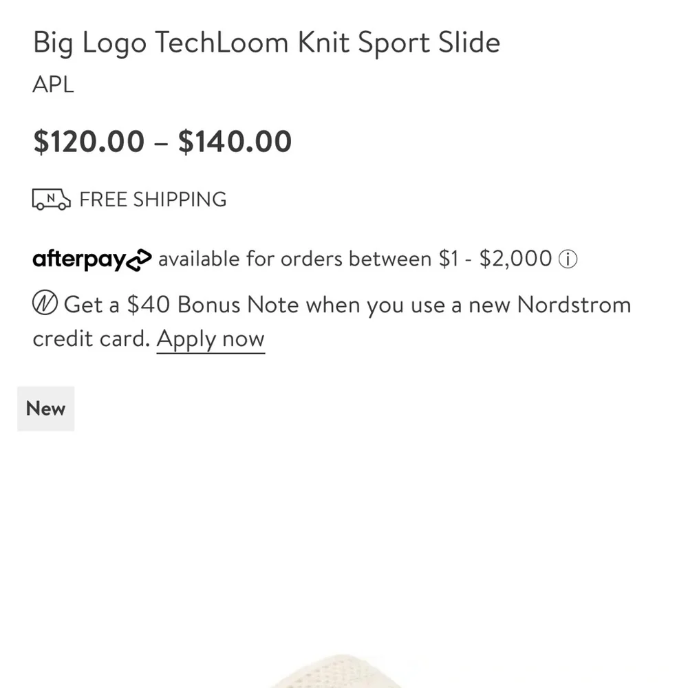 NEW APL Techloom Big Logo Slides - Picture 8 of 8